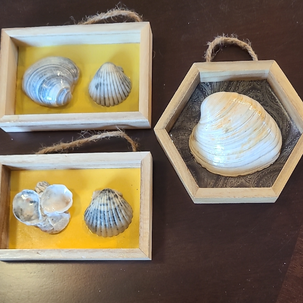 Coastal Shell Wall Decor Set - Natural and Yellow